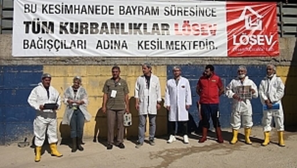 LÖSEV'den Vekâleten Kurban İçin 9 Soru 9 Cevap