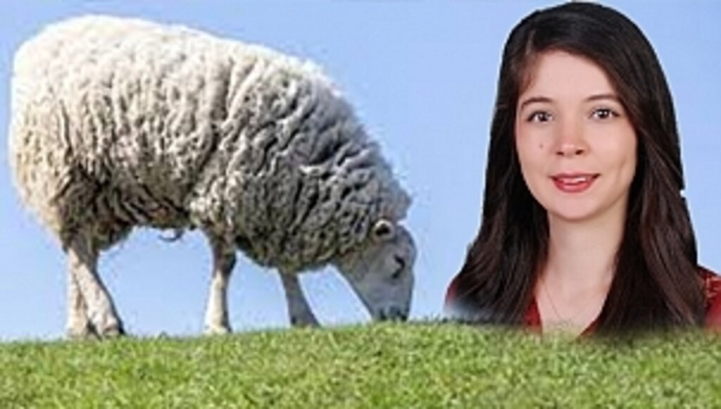 Uzmanından Kurban Bayramı İçin Öneriler!