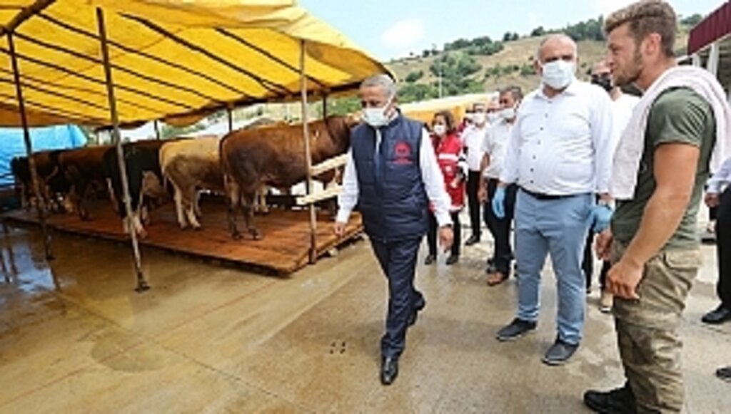 Vatandaşlarımız Gönül Rahatlığıyla Kurban Alabilir