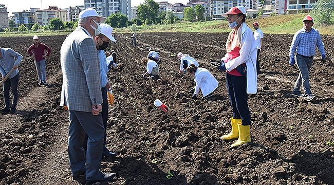 Ziraat Fakültesi'nden Tıbbi-Aromatik Bitkileri, Tanıtım ve Üretim Bahçesine Dönüştürecek Proje