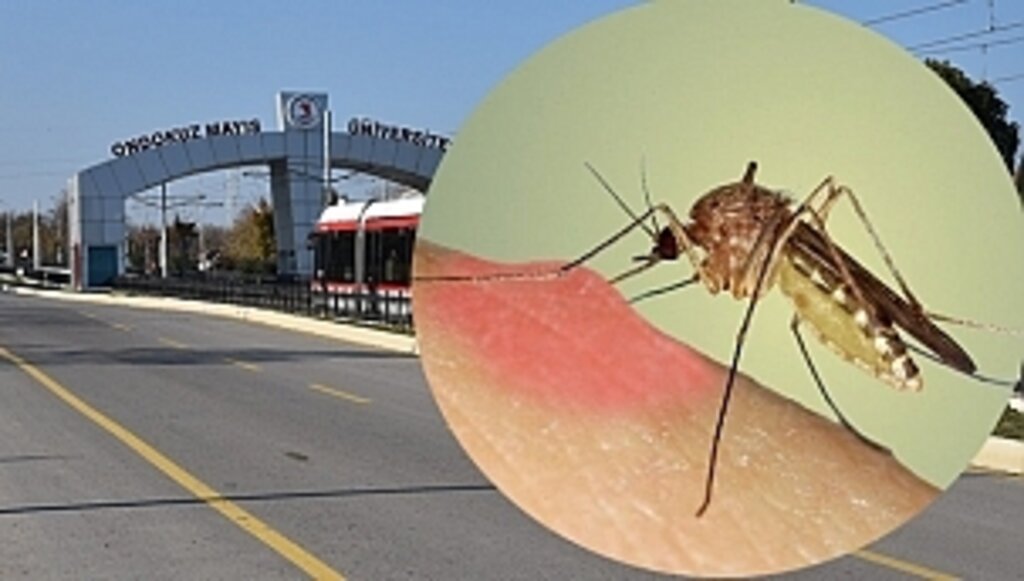 Büyükşehir Belediyesi'nden 'Sivrisinek' Konferansı