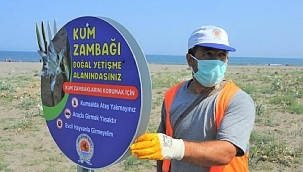 Kum Zambakları' Koruma Altında