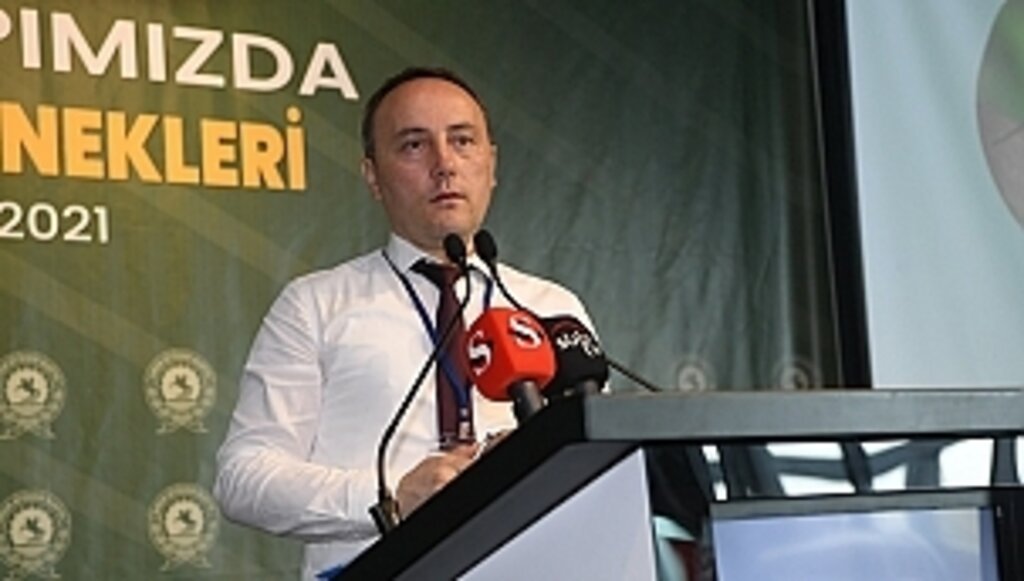 Sivrisinekler Dünya İçin Ciddi Sorun