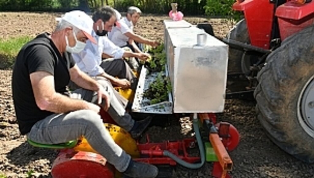 Büyükşehir Destekliyor, Çiftçi Kazanıyor