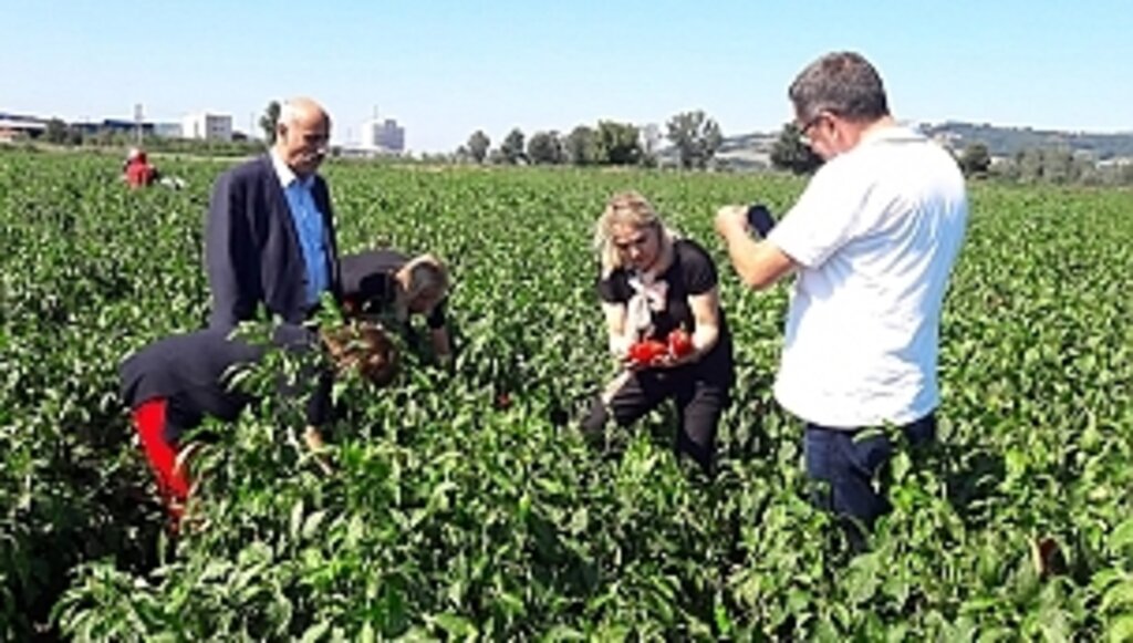 Pazarda-Manavda Zam Yağmuru...