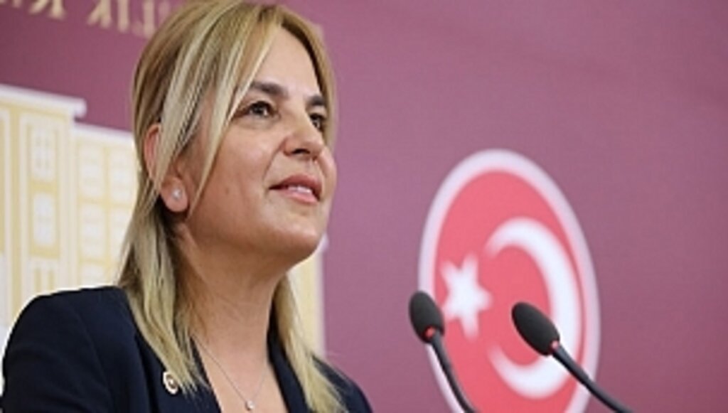 CHP Parti Meclisi Üyesi Hancıoğlu'nun '29 Ekim Cumhuriyet Bayramı' Mesajı