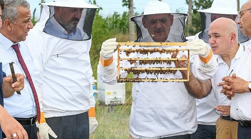 Arıcılık Ekonomisine Büyükşehir Desteği