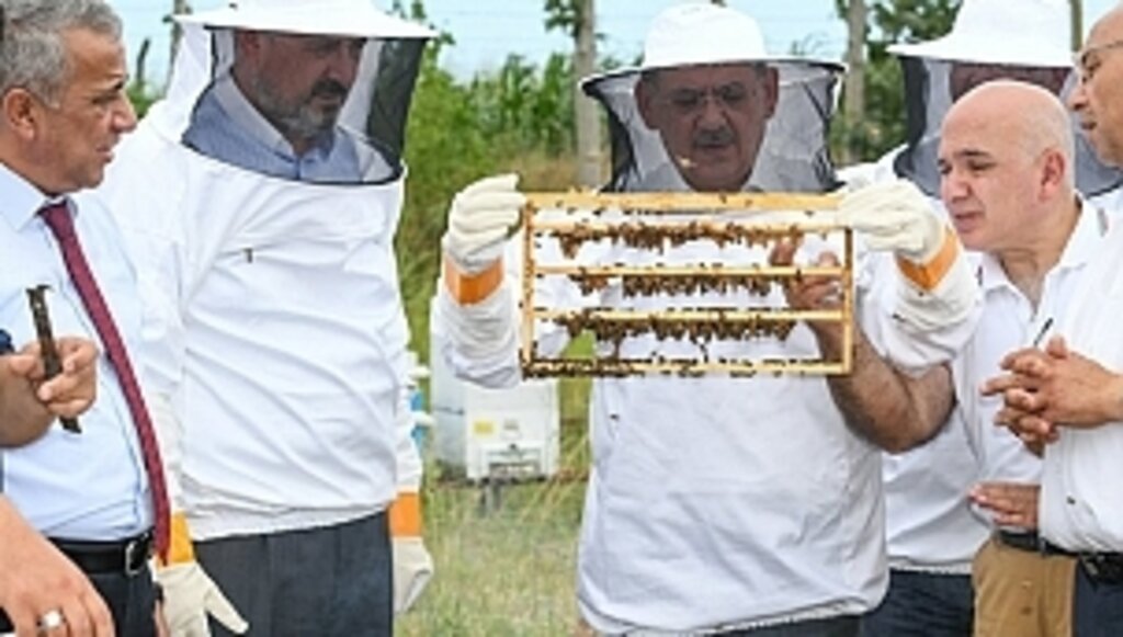 Arıcılık Ekonomisine Büyükşehir Desteği