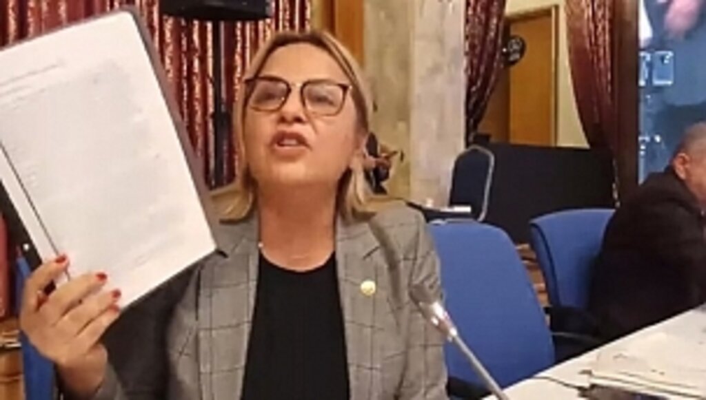 Hancıoğlu TBMM Plan Ve Bütçe Komisyonu'nda Konuştu