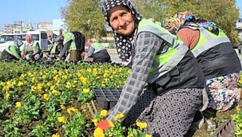 Samsun Kışın da Çiçek Bahçesi
