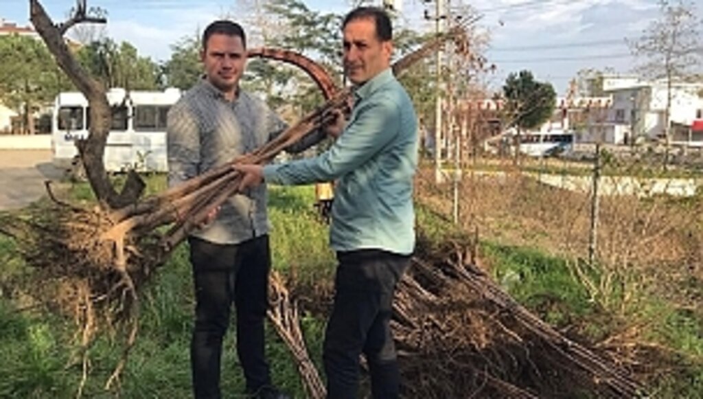 Büyükşehir'den Cennet Meyvesi Desteği