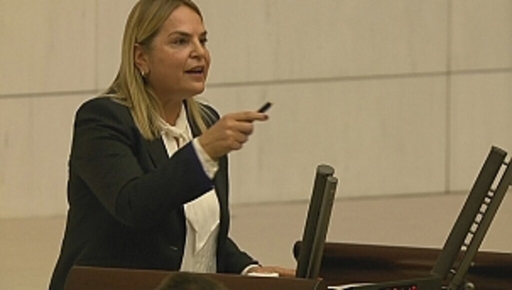 Hancıoğlu, TBMM Genel Kurulu'nda Konuştu