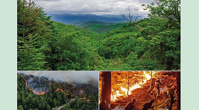 İklim Değişikliği ve Orman Yangınları İlişkisi TÜBA Kitabında