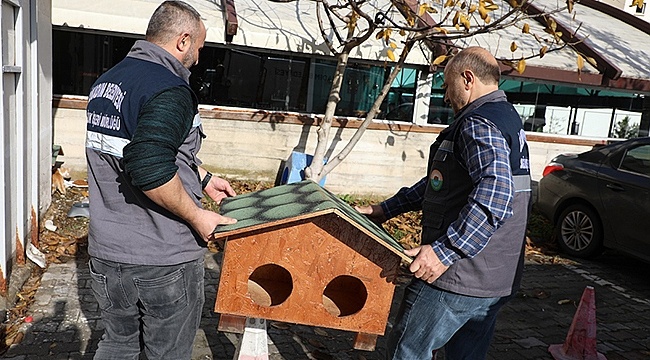 Kedi Evi Projesi İlkadım'da Hayat Buldu