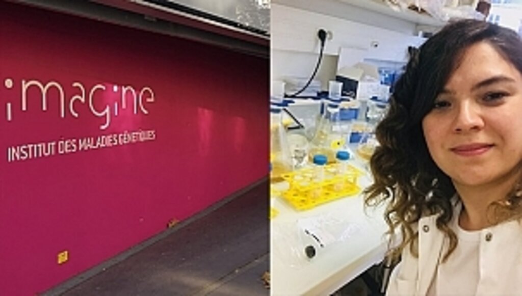 OMÜ Tıp Fakültesi'nden Uluslararası Başarı