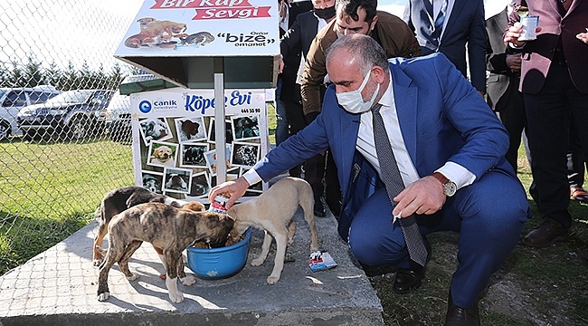 Sokak Hayvanları İçin Çevre Dostu Kulübeler