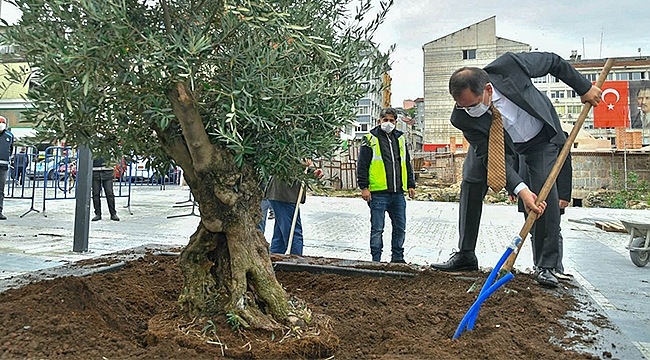 Büyükşehir'den 'Yeşil Seferberlik'