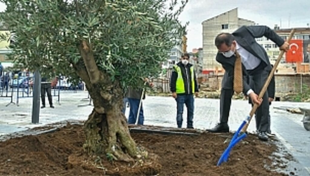 Büyükşehir'den 'Yeşil Seferberlik'