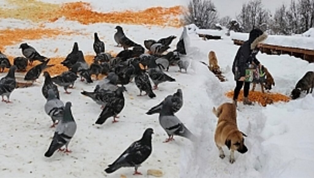 Can Taşıyan Her Varlık Bizim İçin Değerlidir