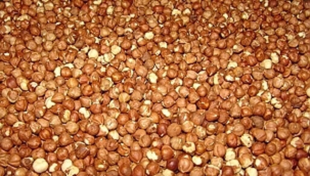 Fındıkta İhracat Rekoru 