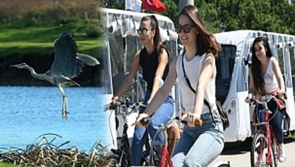 Merak Eden Oraya Gidiyor!...