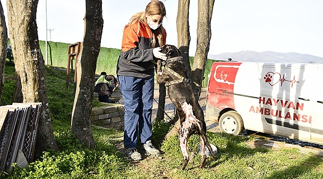 Terk Eden 30 Bin TL Ödeyecek