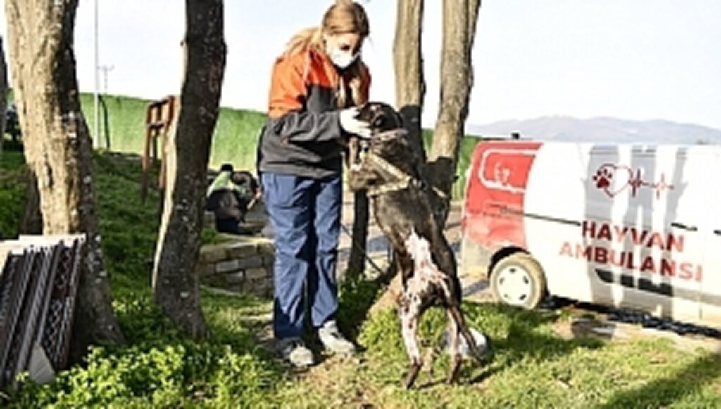 Terk Eden 30 Bin TL Ödeyecek