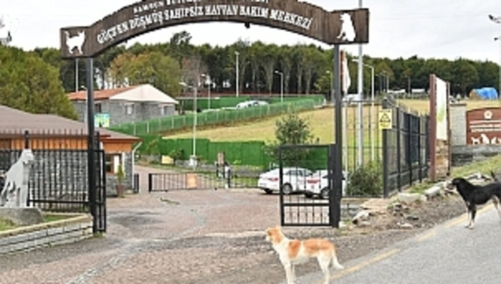 Yüzlerce Can Dostunun Yuvası 