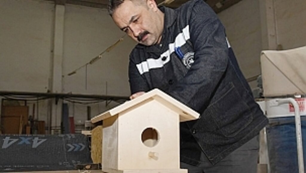 Sokak Hayvanlarına Yuva Oldu