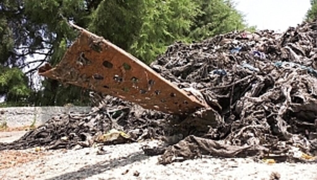 Çamaşır, Şişe, Teneke Ne Ararsan Var