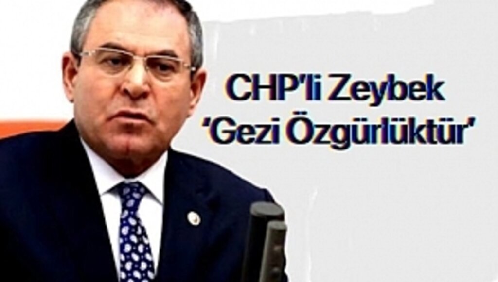 Gezi Özgürlüktür, Gezi Ruhu Her Yerde ve Yaşamakta