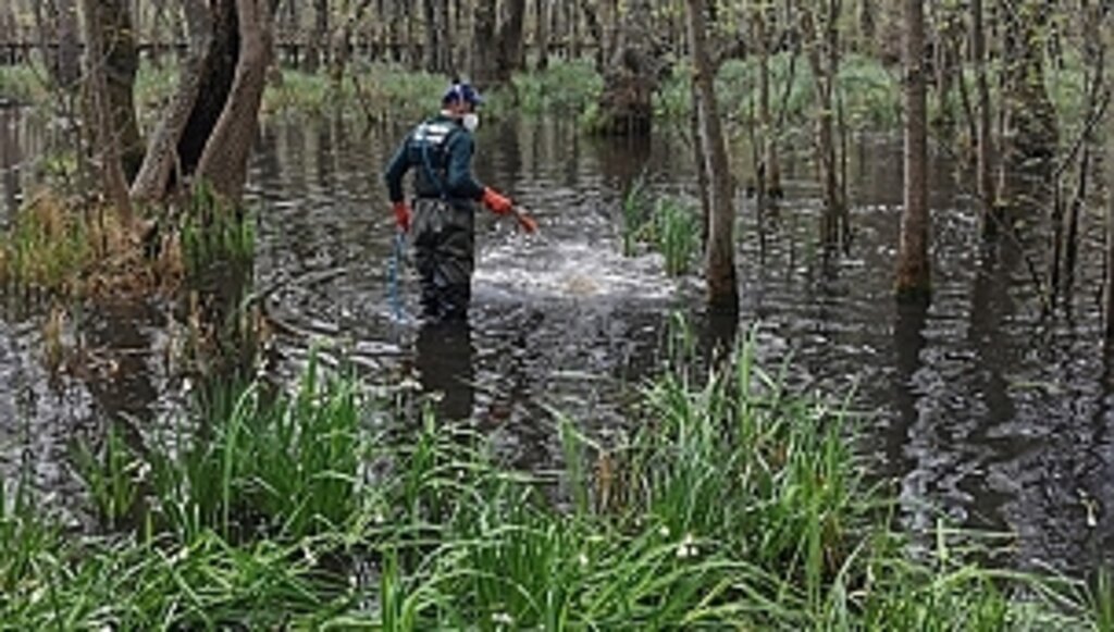 Türkiye'de İlk İmzayı Samsun Attı