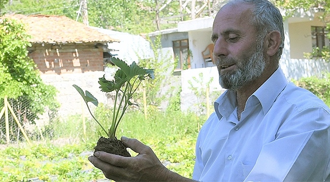 Büyükşehir'in Desteğiyle Kazancı İkiye Katlandı