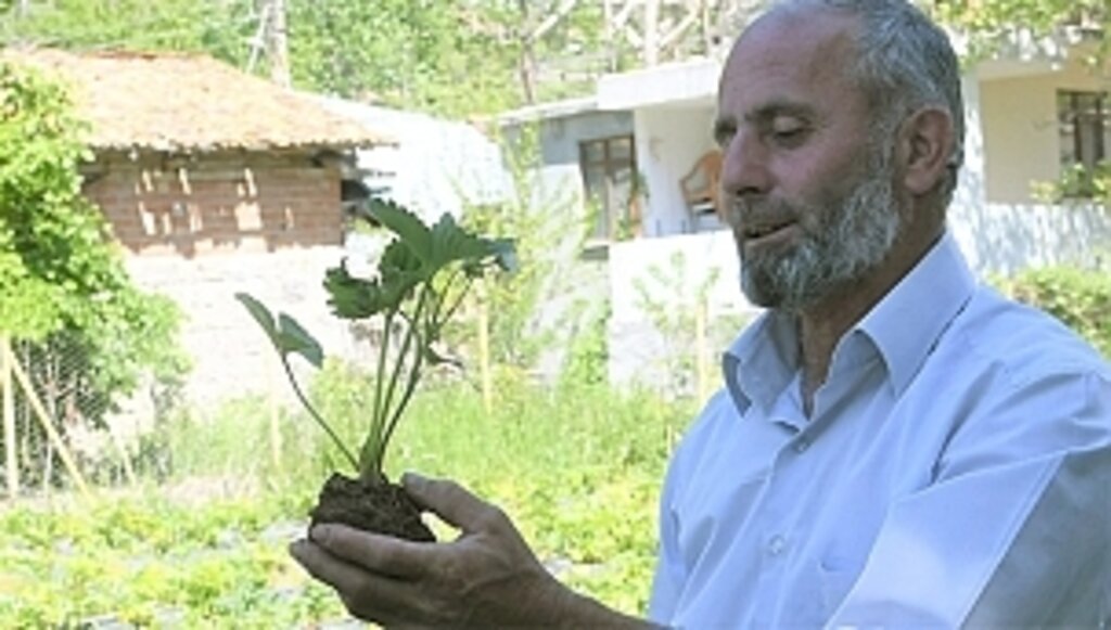 Büyükşehir'in Desteğiyle Kazancı İkiye Katlandı