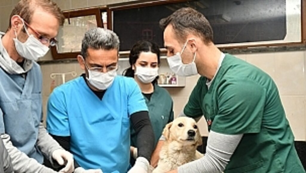 Büyükşehir Onlara Sahip Çıktı