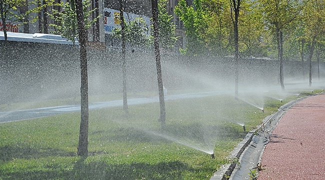 Büyükşehir Sivrisineklere Karşı Etkin Mücadele Başlattı