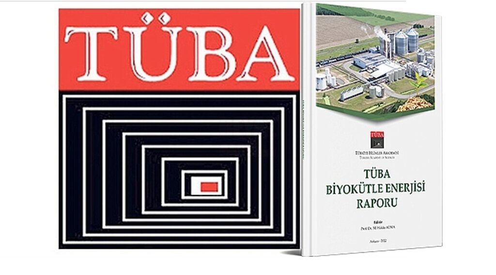 Biyokütle Enerjisinde TÜBA Rehberliği