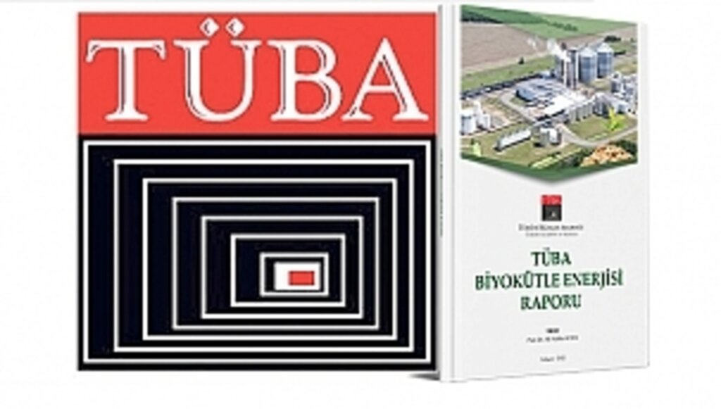 Biyokütle Enerjisinde TÜBA Rehberliği