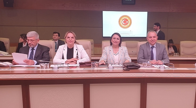 Meclis, Yaşlıların Tüm Sorunlarını Mercek Altına Alıyor!