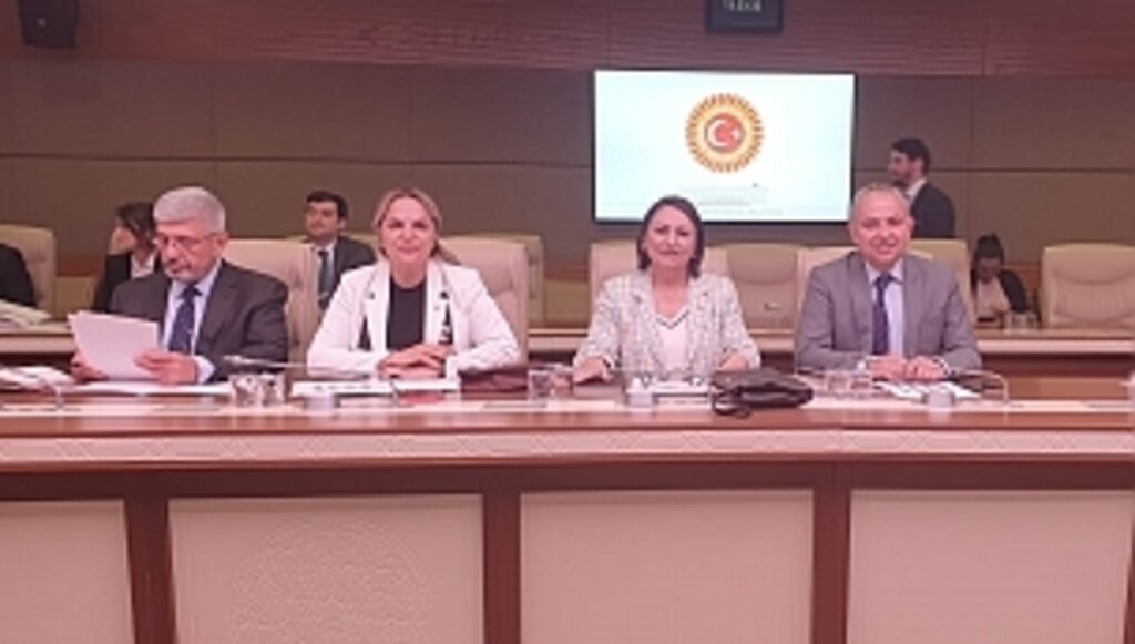 Meclis, Yaşlıların Tüm Sorunlarını Mercek Altına Alıyor! 