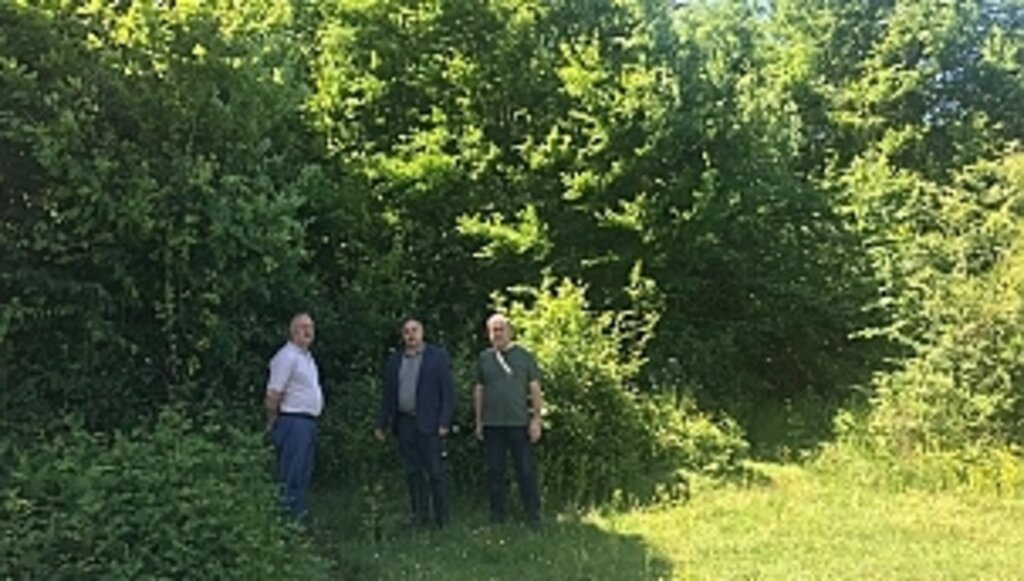 Orman Arazisini Nasıl Kiralarsınız?