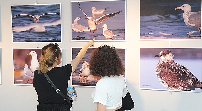 Nesli Tükenen Kuşlar İçin Fotoğraf Sergisi