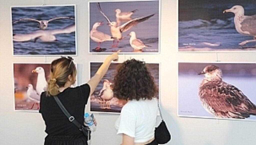 Nesli Tükenen Kuşlar İçin Fotoğraf Sergisi