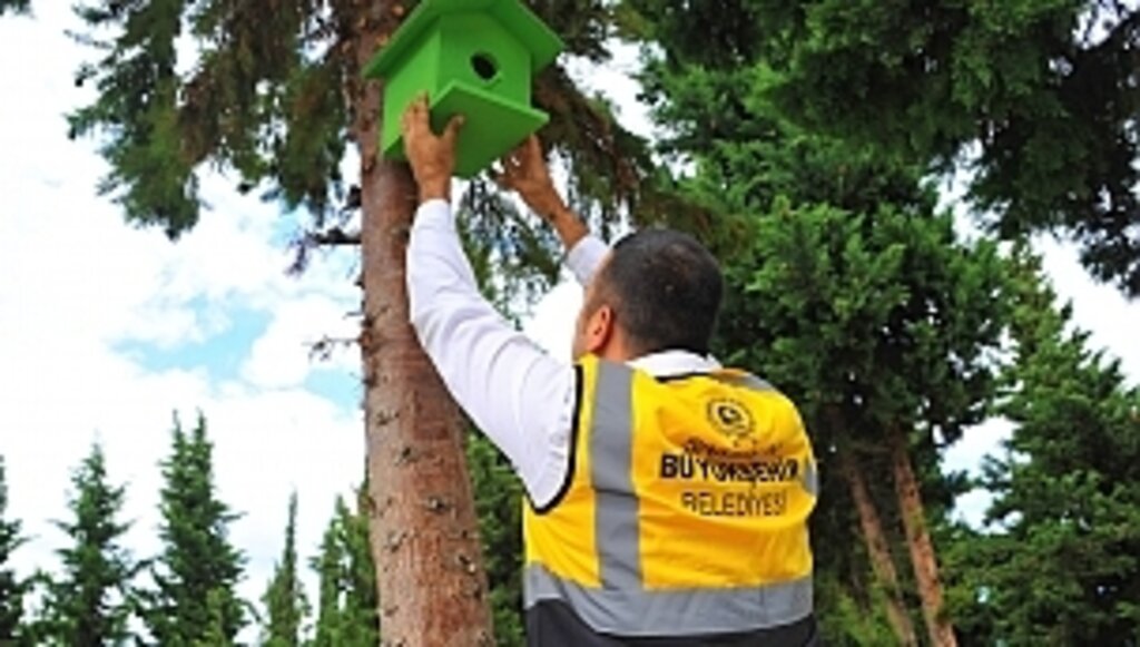 Atıklar kuşlara yuva oldu