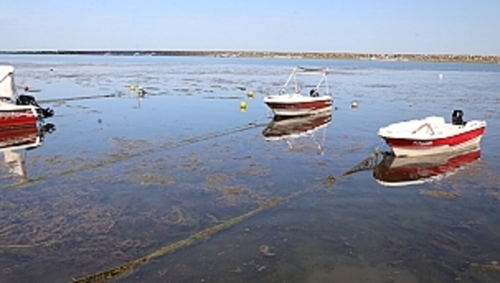 Başkan Deveci'den Marina Uyarısı!