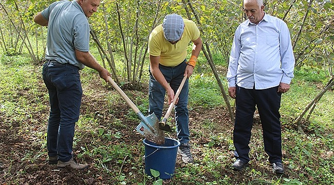 Tekkeköy'de Tarıma Bilimsel Dokunuş