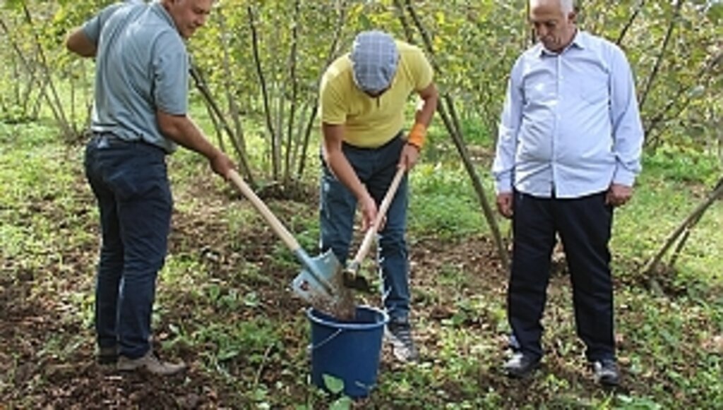 Tekkeköy'de Tarıma Bilimsel Dokunuş