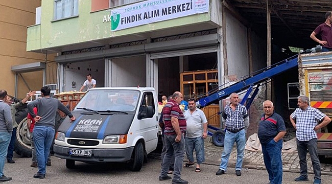 TMO Üreticiden Sınırlı Tonda Fındık Alıyor