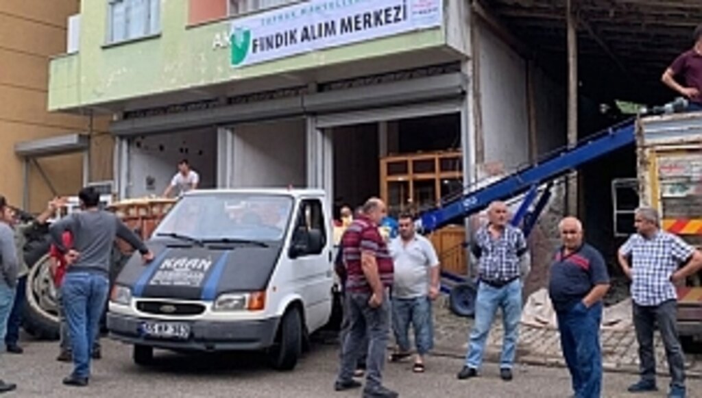 TMO Üreticiden Sınırlı Tonda Fındık Alıyor