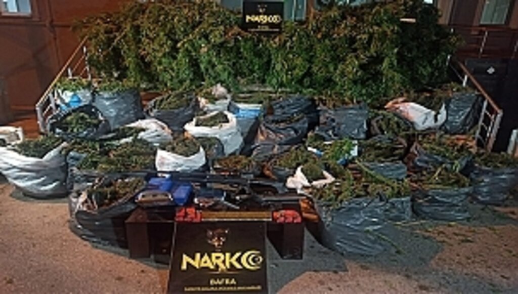 Bafra'da Zehir Tacirlerine Büyük Bir Darbe 